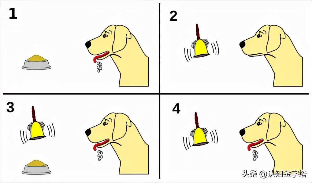 中国如何防止奶嘴乐？美国如何通过选美，荼毒全世界？