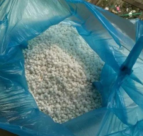 想要养好绿萝关注这几点就够了,绿萝这样养疯长如瀑布半月长爆盆