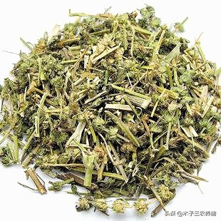 母猪产后胎衣不下，怎么办？别着急，看山区老养猪人怎样处理