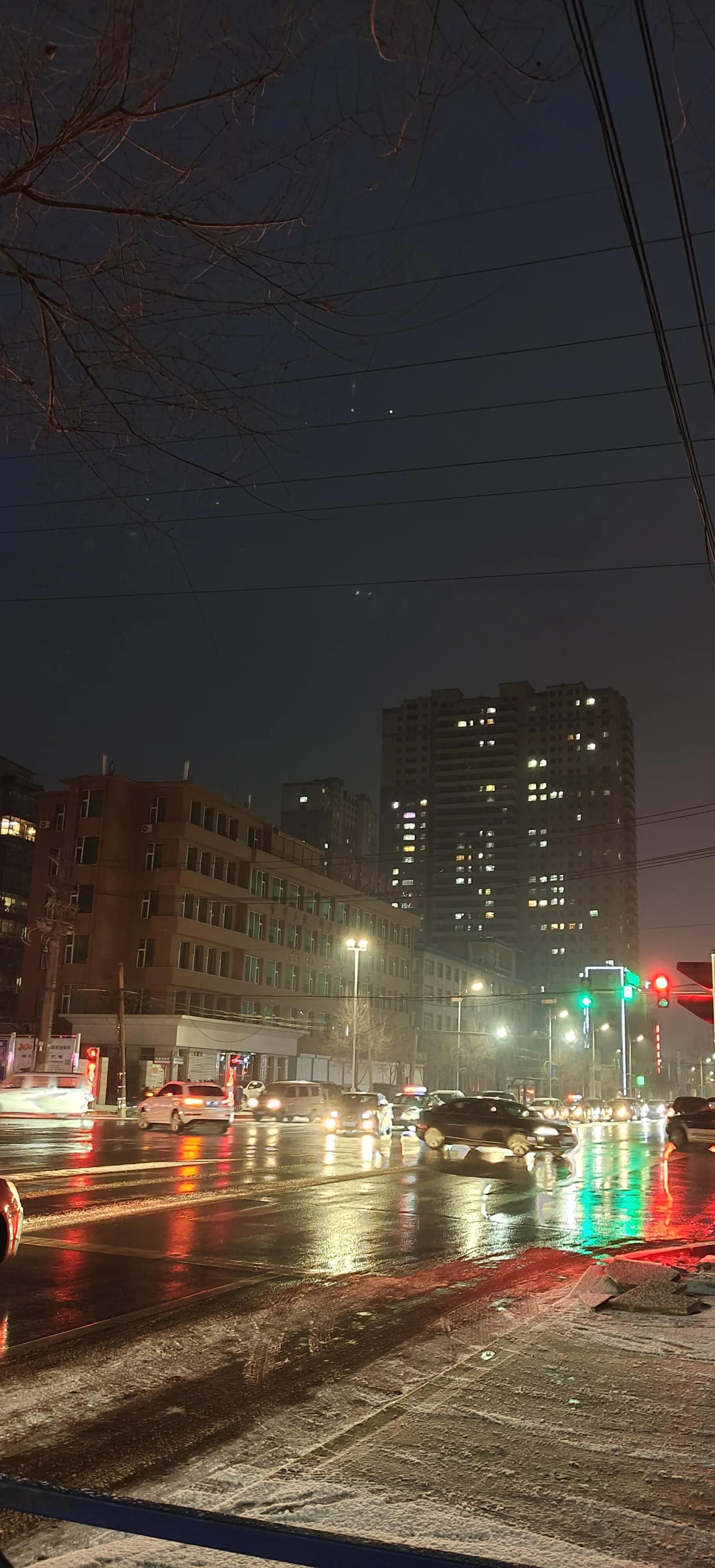 人生到处知何似全诗赏析,人生到处知何似飞鸿踏雪泥出处