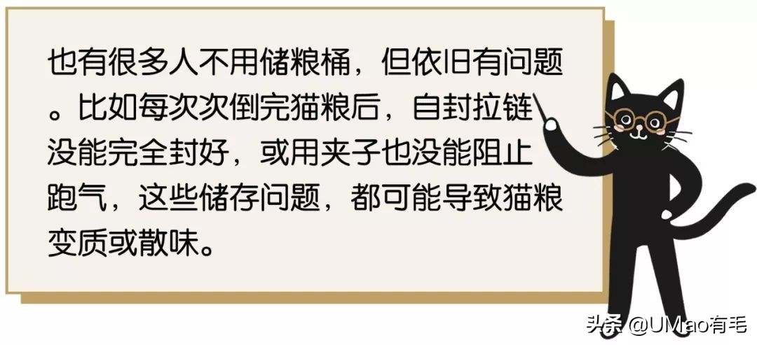 猫粮黄曲霉素中毒,猫吃了毒猫粮慢性中毒