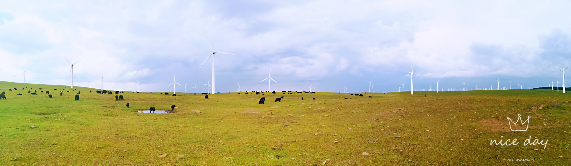 红松洼和乌兰布统哪个好,乌兰布统坝上草原旅游攻略