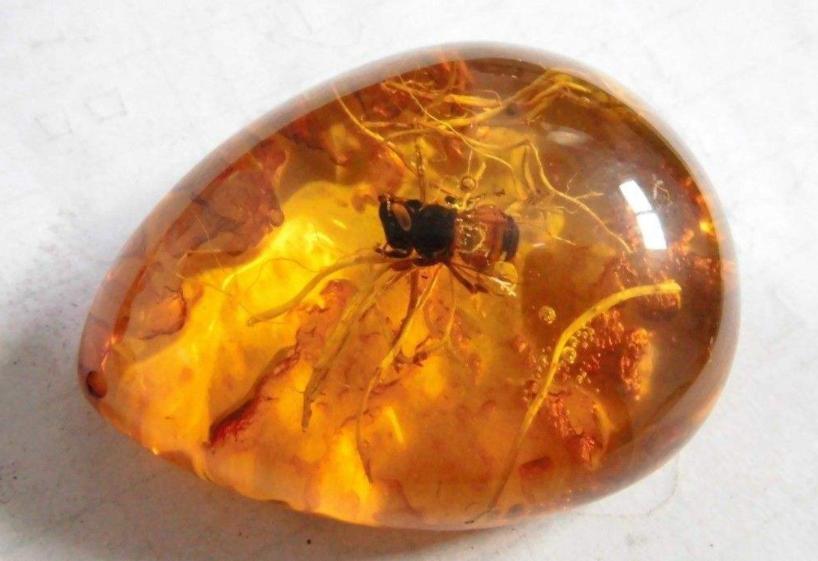 redlightyellowlightgreenlight,黄灯为什么不是yellowlight