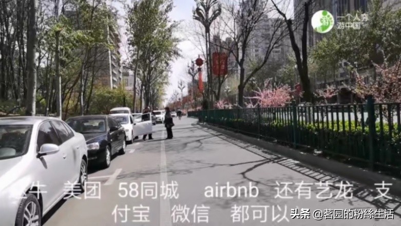 秦皇岛北戴河怪楼奇园景区表演,秦皇岛鸽子窝公园图