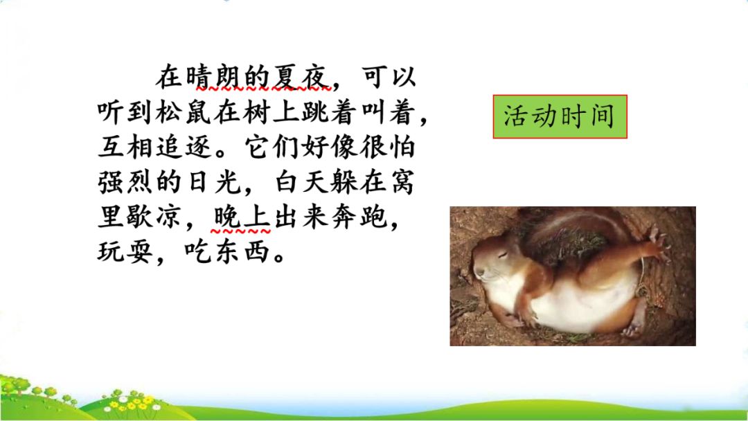 五年级语文第17课松鼠讲解,五年级上册第17课松鼠教材详解