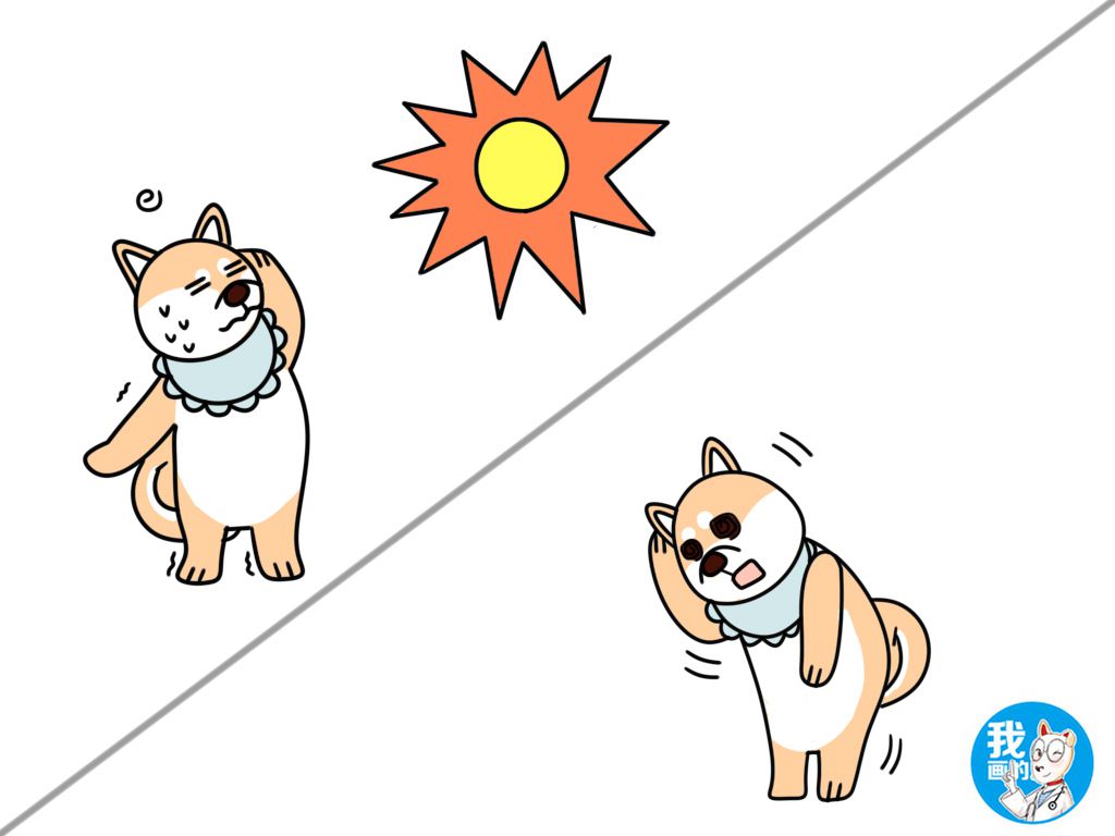 天气炎热致狗狗中暑,夏天狗狗中暑好了可以不送医院吗