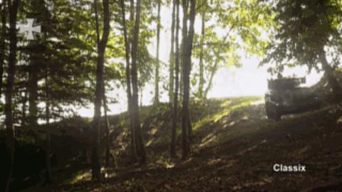 鼬鼠步兵战车,日耳曼鼬鼠坦克