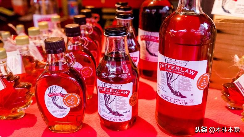 加拿大旅行日记,多伦多最佳生活日记