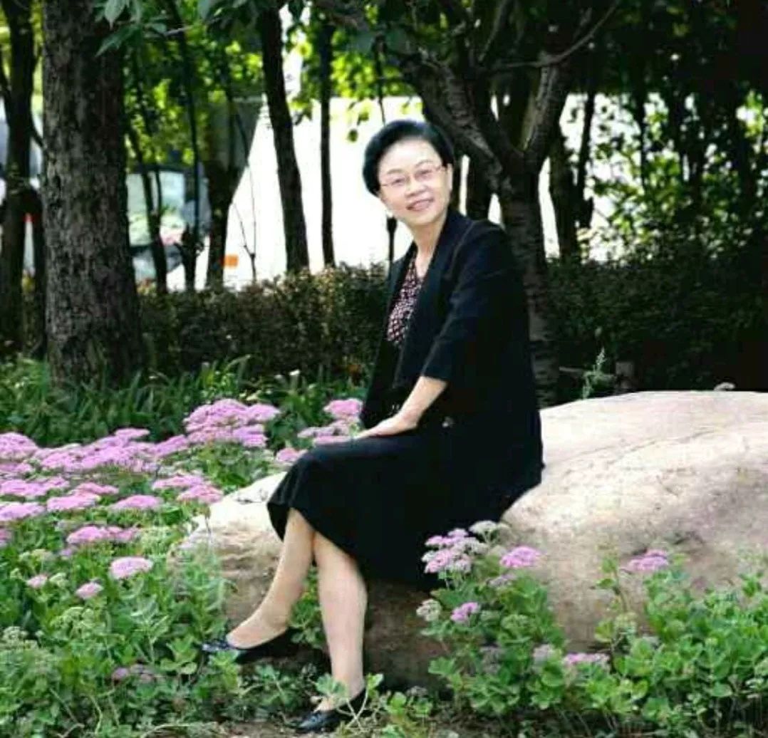 南飞雁答友人,南飞雁古筝原唱