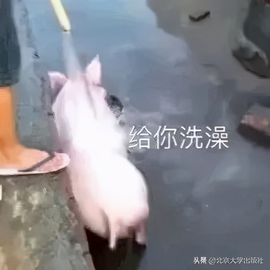 《蒙元入侵前夜的日常生活》,蒙元入侵前夜南宋人的日常生活