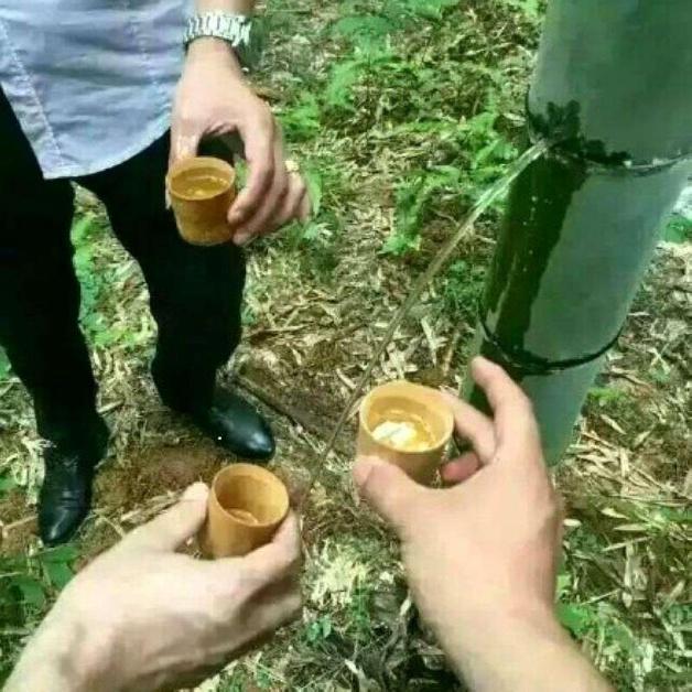 网友：感觉自己智商被碾压！知道真相后，“竹筒酒”*局骗**何时休？