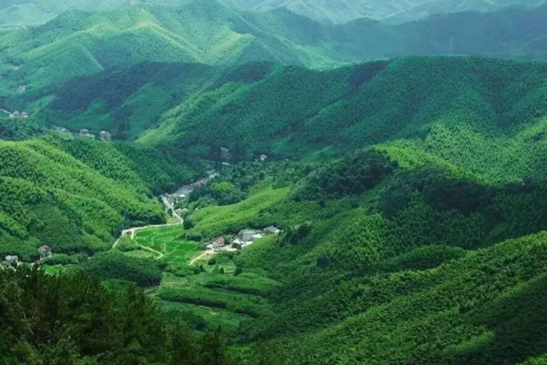 莫干山网红儿童旋转滑梯民宿,莫干山新晋森林亲子民宿无边泳池