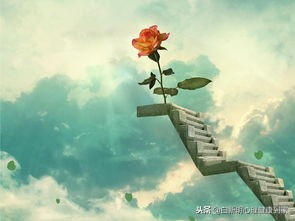 心理研究：开发右脑，完全可以改善抑郁加强迫造成的高自杀风险！