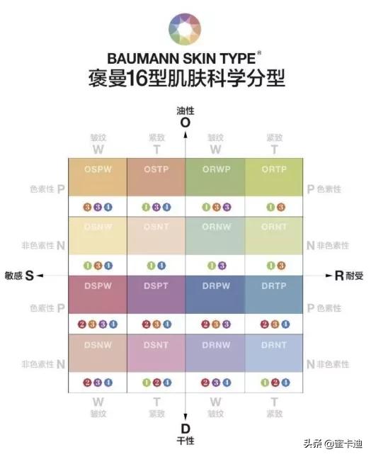 全部皮肤知识大全,四张图让你明白你是什么皮肤