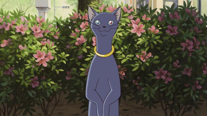 猫的报恩,猫的报恩怎么样