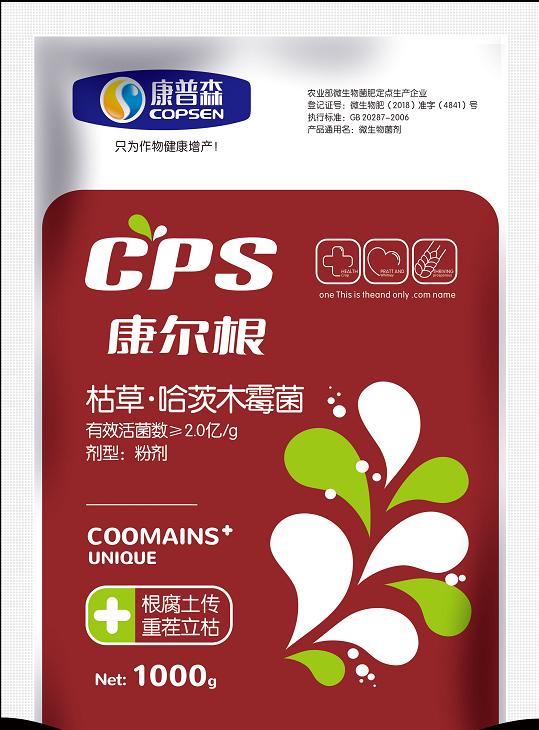 根腐病最好的解决方法,黄瓜茎基根腐病的治疗方法