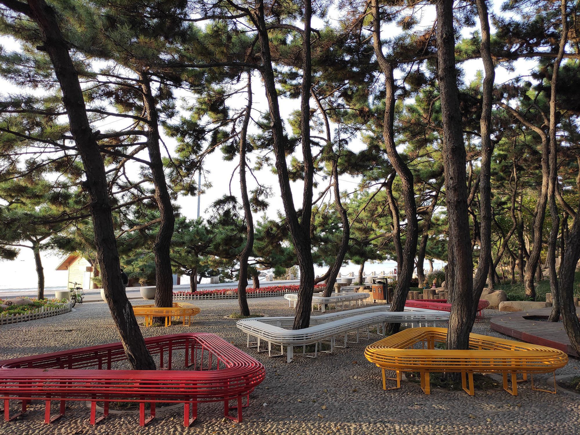 欣赏年画、邂逅大海、闲逛宜家，将生活过成诗与远方