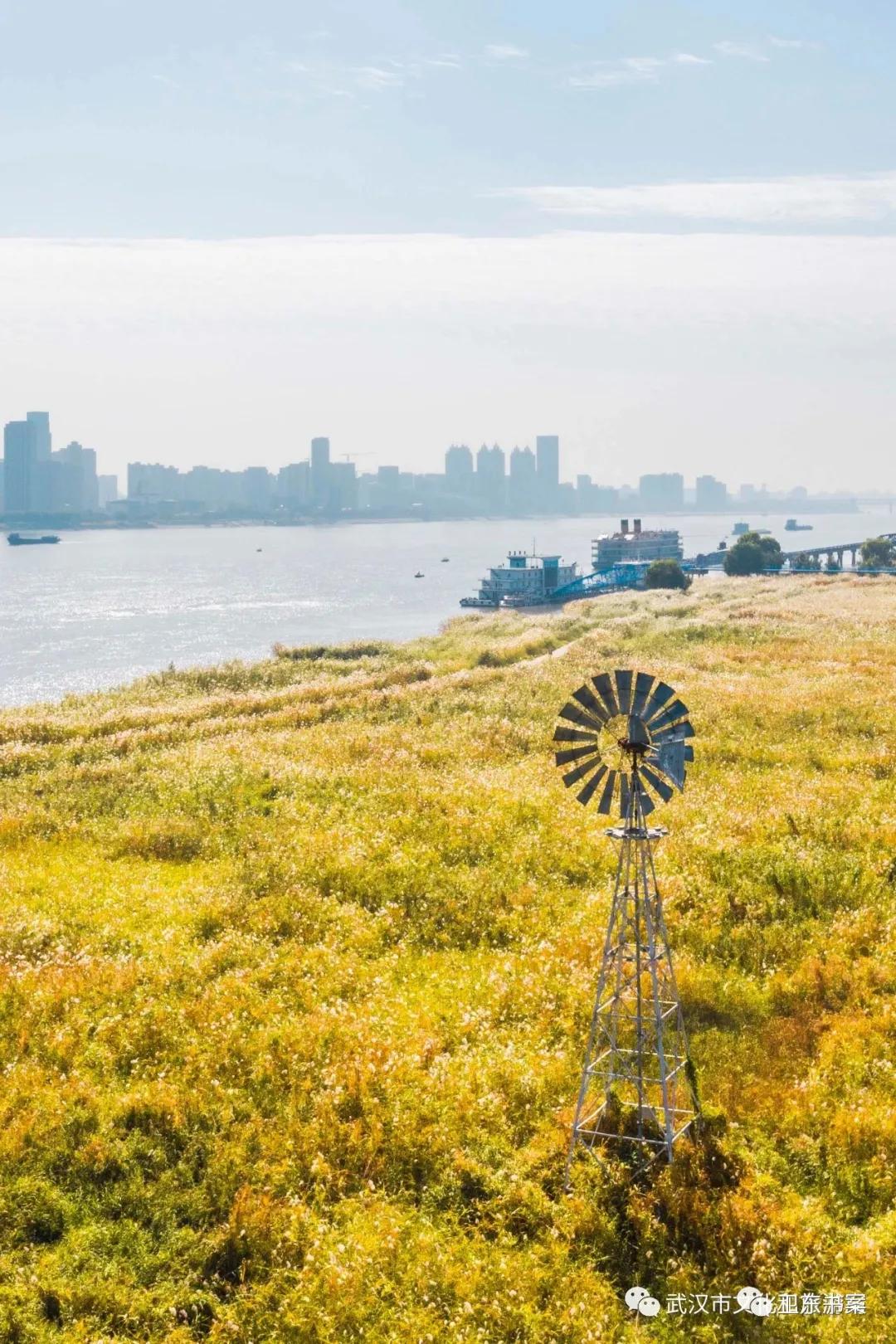 武汉江滩的那些事,武汉江滩的故事