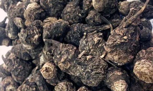 每天一杯提神强体，腰好了、肾好了，家庭事业齐齐好！