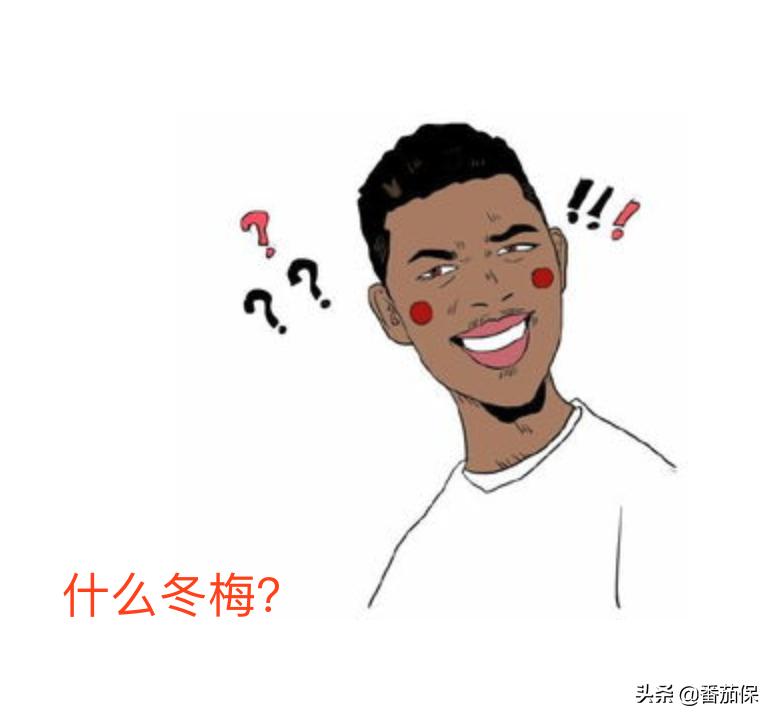 港险优势有哪些,港险有哪些