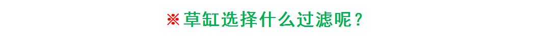 入坑草缸你准备好了吗,草缸入坑观赏鱼
