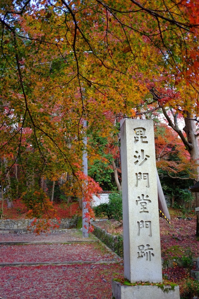 京都赏枫2022,京都赏枫必去景点有哪些好玩的