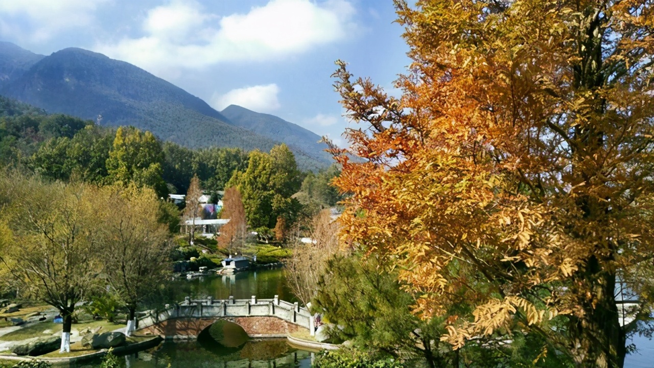 云南风景最好的大学排名,云南有哪些风景好的大学