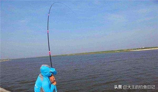 钓鱼王鱼竿新手推荐什么,新手小白钓鱼的鱼杆怎么选