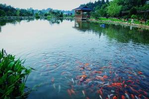 闀挎矙甯傞暱娌欏幙鎴夸环,闀挎矙甯傞暱娌欏幙姒傚喌