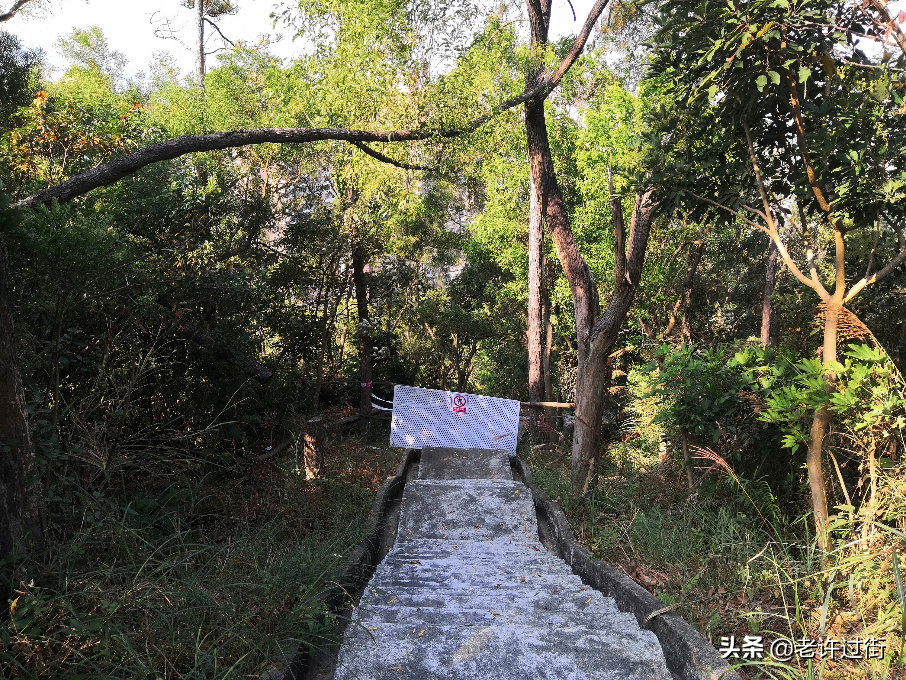 鐝犳捣姘у惂,鐝犳捣绌烘皵姘у惂