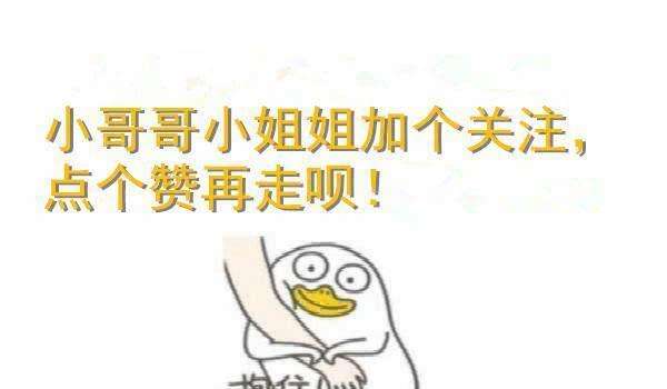 关于猫咪发情的那些羞羞事，养猫必读