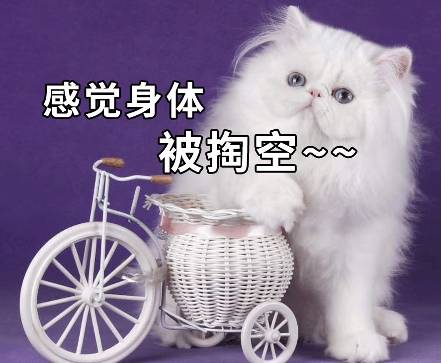 为什么你买股票基金总是亏钱,炒股买基金亏了怎么办