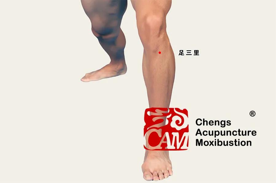 月经过少针灸穴位,月经过少埋线