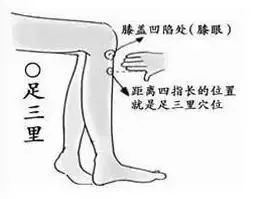 一夜春雨万物醒,一夜春雨滋润万物