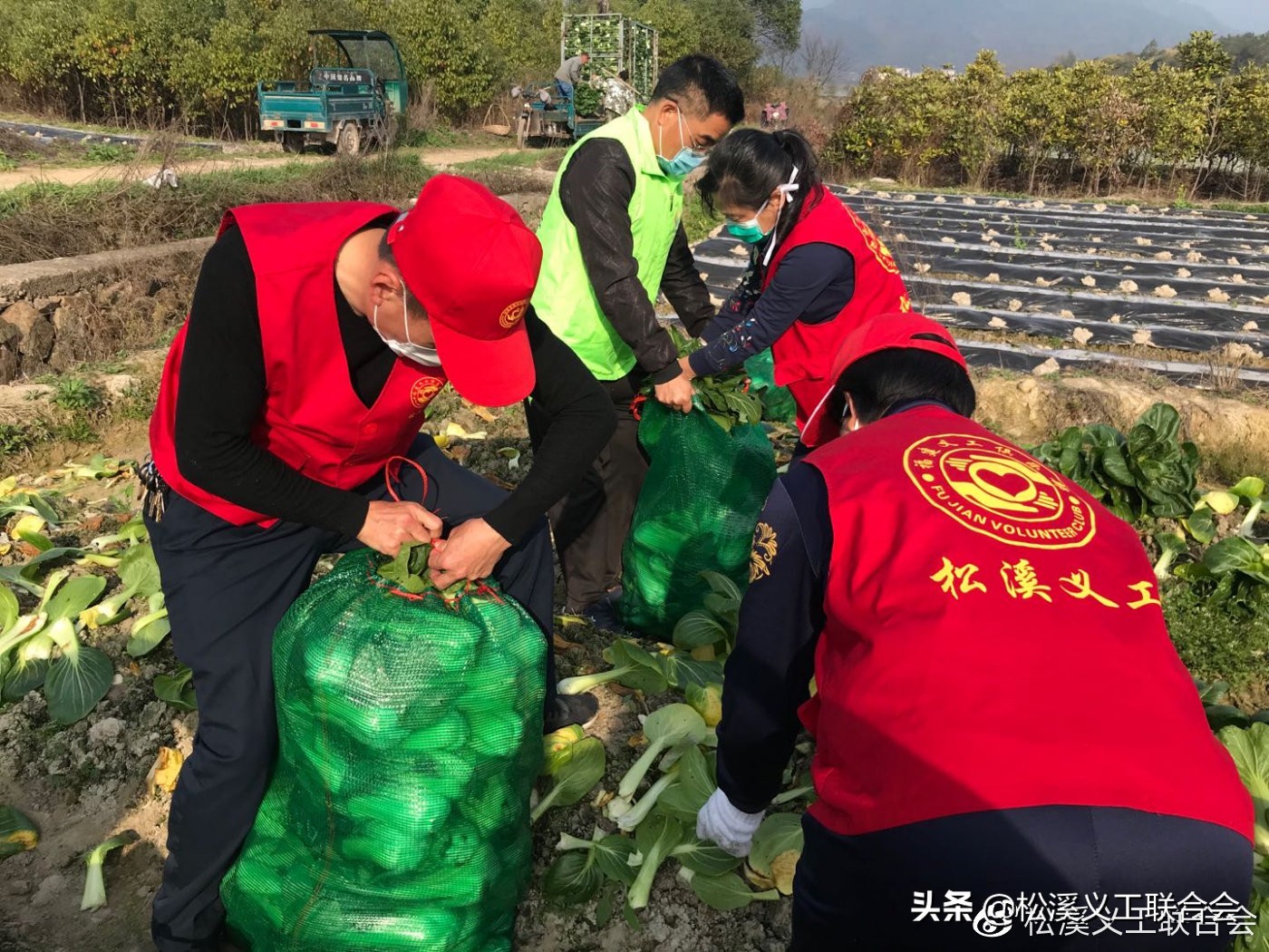 在抗击新冠肺炎疫情中表现,在疫情防控阻击战的日子里