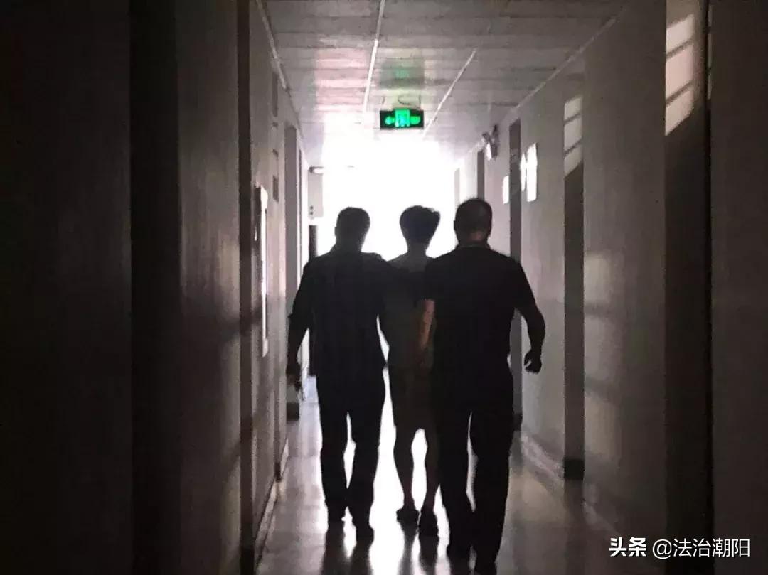 倒卖“聪明药”“伟哥”！大学生踏上*私走**、贩毒不归路！