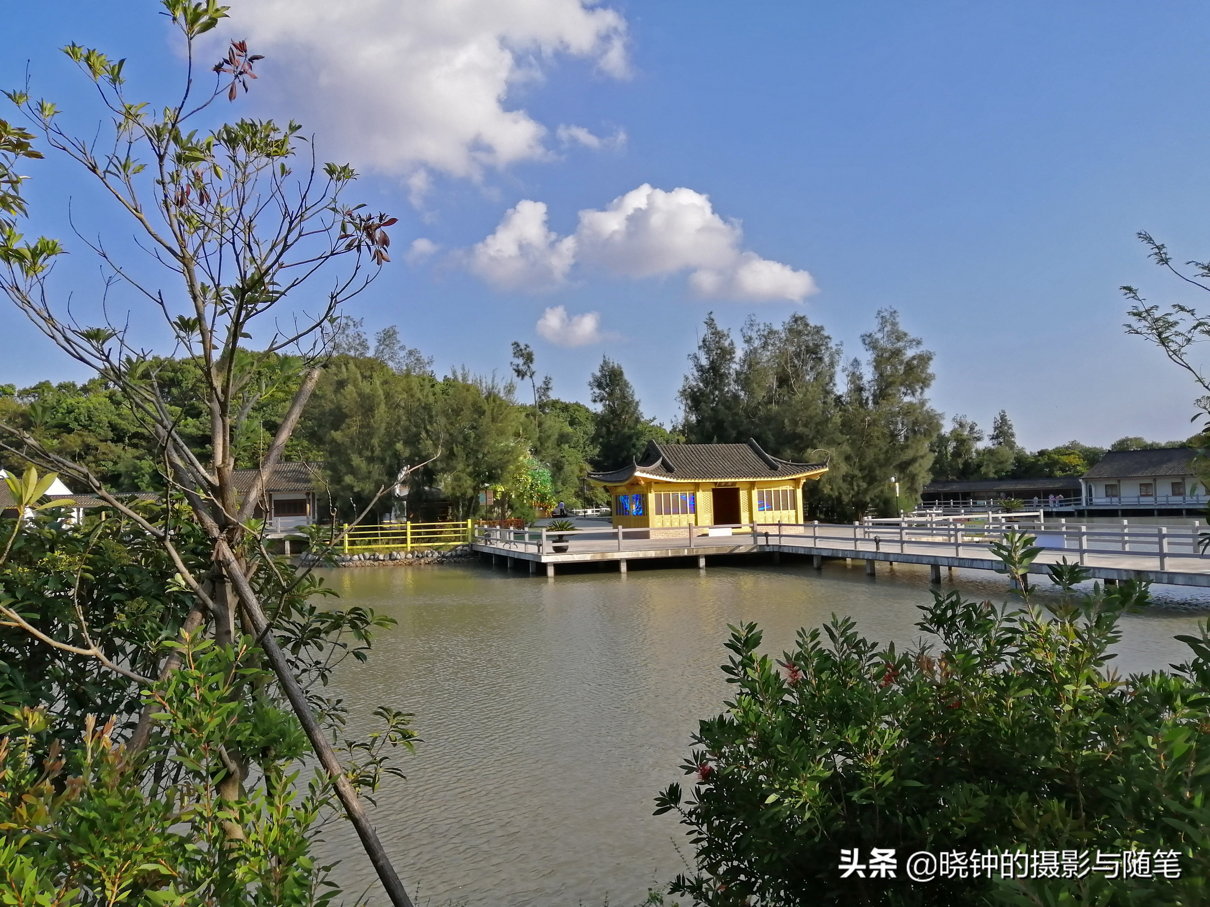 舟山海岛慢生活,生活在浙江舟山的真实感受