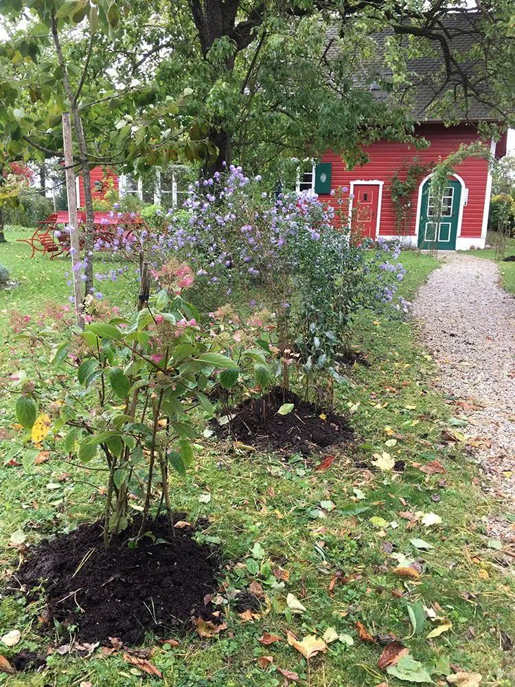 如果气温变冷需要准备什么,温度降到几度花搬到室内