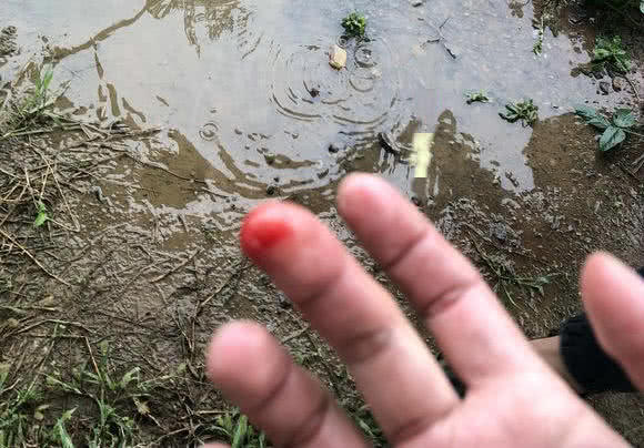 鱼塘出现大黑鱼走近一看发现真相,村民河里捉鱼遇到不明生物