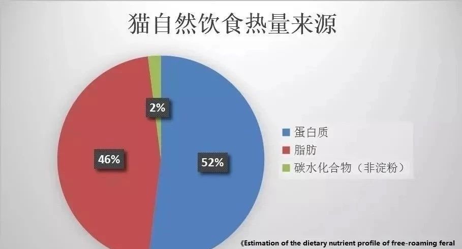 为什么猫咪便便这么臭,怎么让猫咪的便便不臭