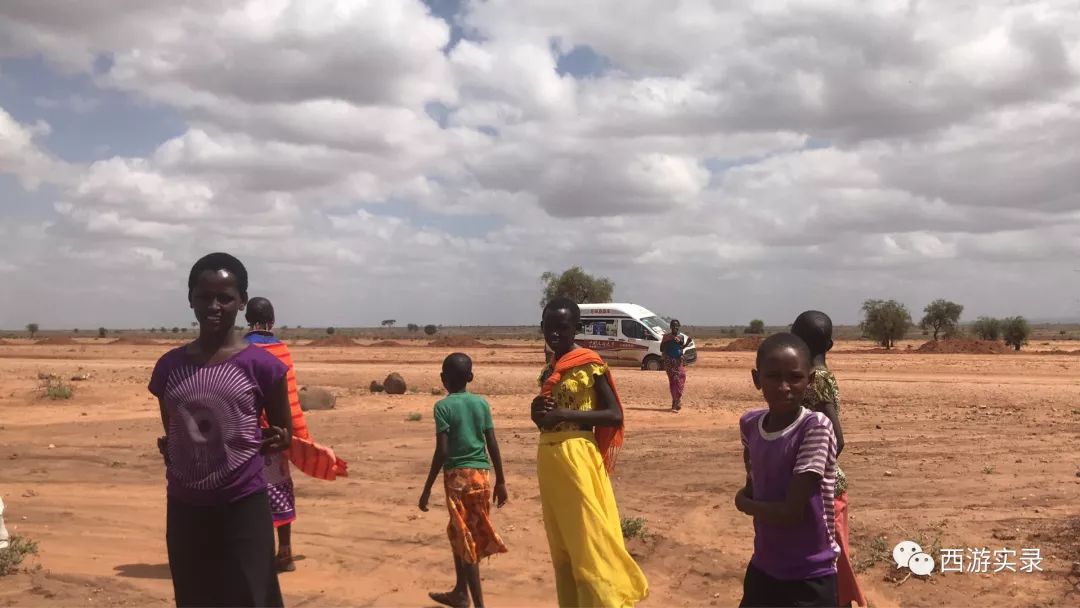 最牛沪c进市区,最牛沪c进入澳洲