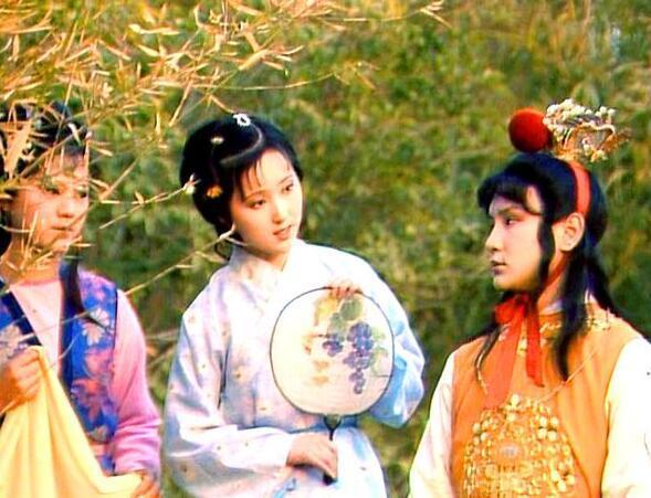 林黛玉和宝钗,林黛玉与薛宝钗谈论宝玉
