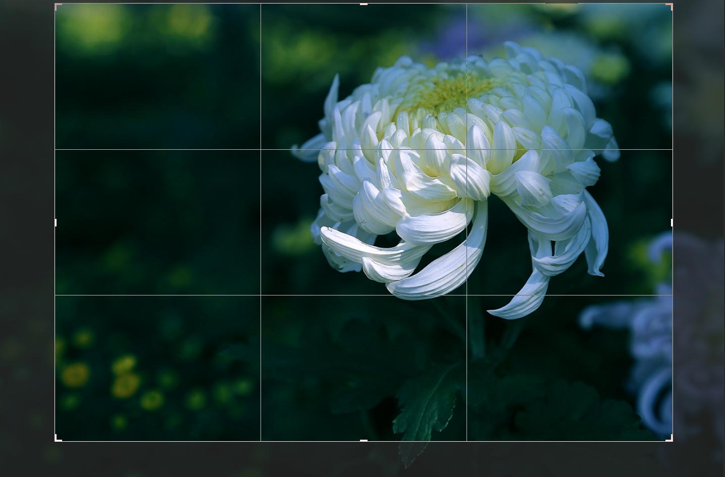 摄影后期如何处理颜色,摄影照片后期处理教程