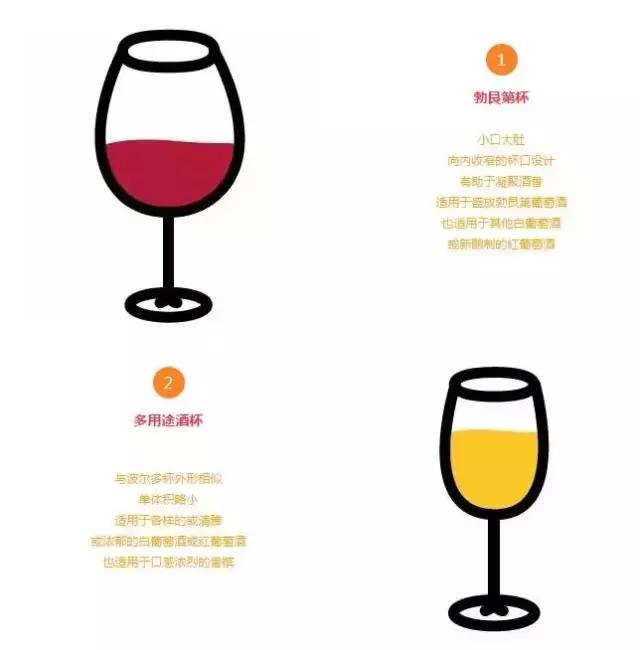 启智说说|“人人都该知道的葡萄酒基础知识”分享