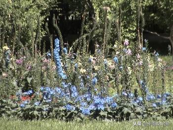 索尼dvd805e摄像机,索尼rx550e摄像机