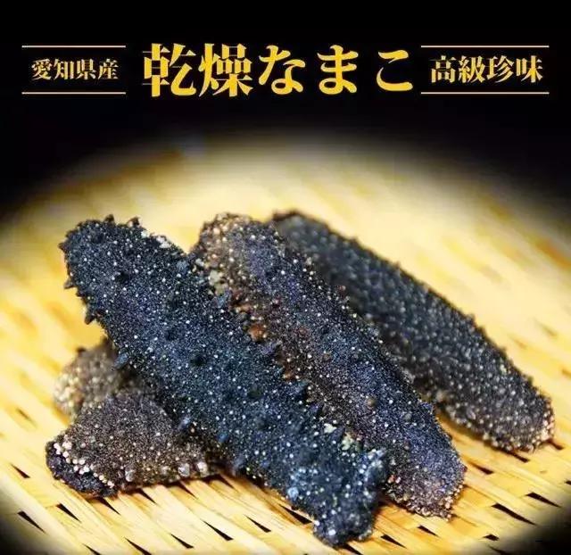 海参物种科普,海参100种图片
