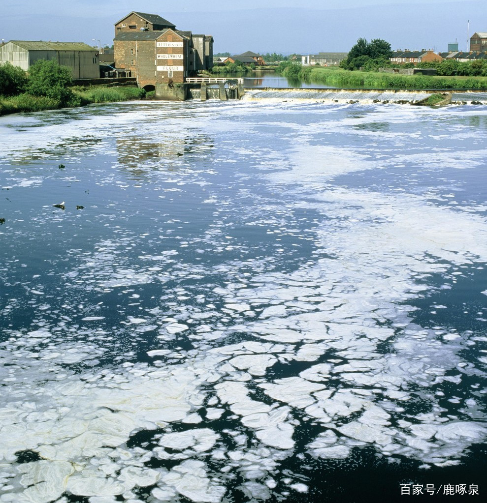 自来水从哪里来最终会流到哪里去,自来水从哪里来到哪里去