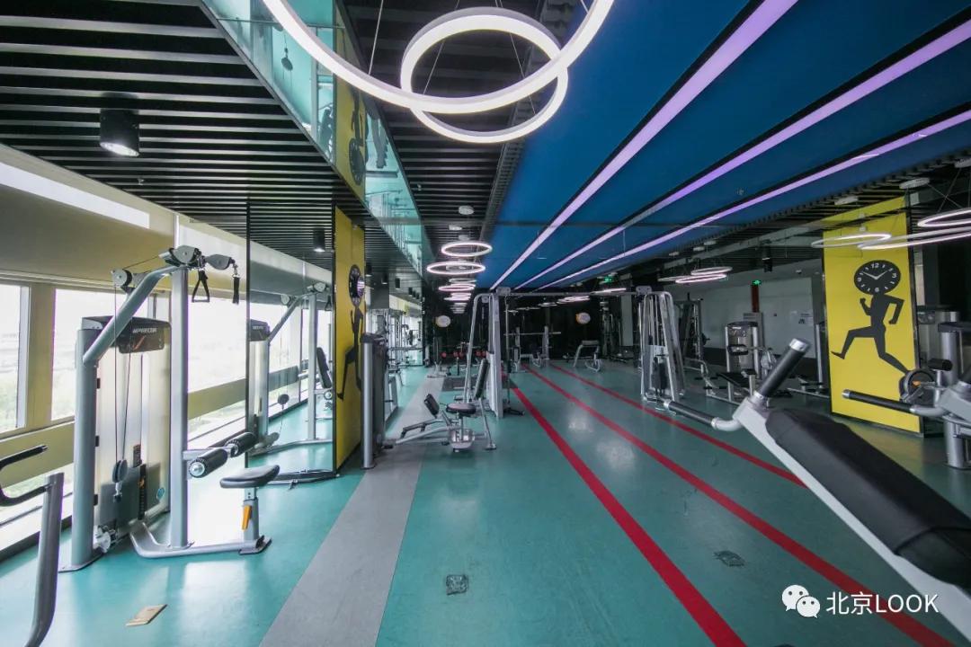 别人家的公司还招人,别人家的公司还招人吗