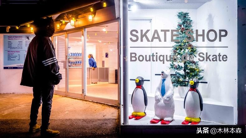 加拿大旅行日记,多伦多最佳生活日记