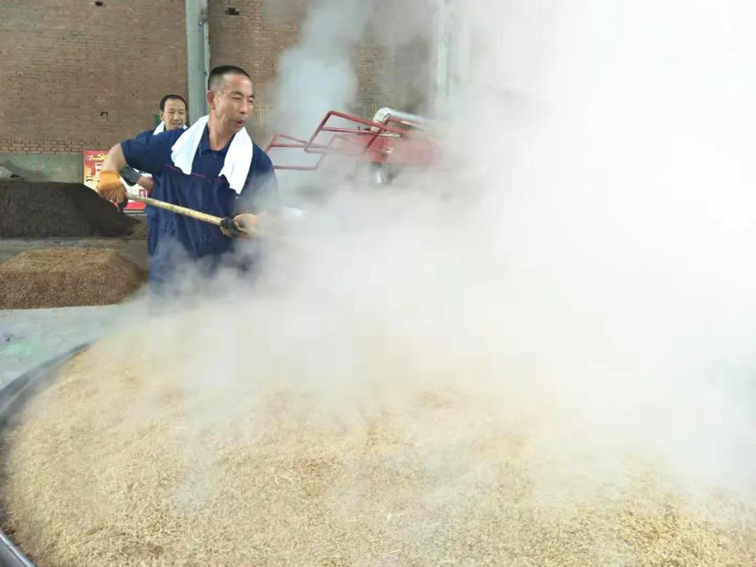 皇台酒哪个类型好,皇台酒是纯粮吗